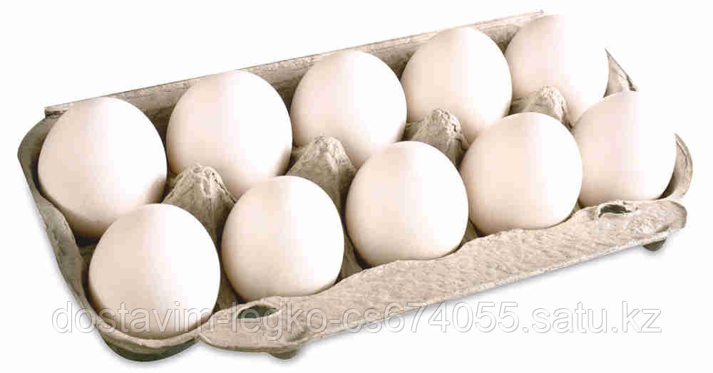 Яйцо куриное высший сорт - фото 1 - id-p78217375