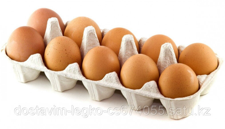 Яйцо куриное первый сорт - фото 1 - id-p78217658