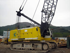 Краны LIEBHERR Гусеничные