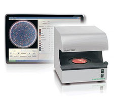 Счетчик колоний автоматический Scan 500, цветной,