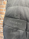 Куртка зимняя Burberry (0163), фото 7