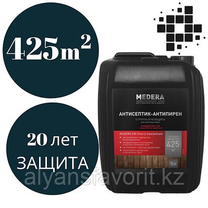 MEDERA 200 - Cherry- пропитка огнебиозащита для древесины II гр. 5 литров., фото 2
