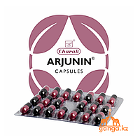 Арджунин для сердца (Arjunin Charak), 20 кап