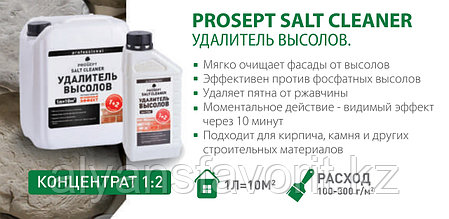 SALT CLEANER - удалитель высолов 1 литр (концентрат). РФ, фото 2