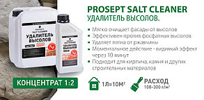 SALT CLEANER - удалитель высолов 5 литров -(концентрат). РФ, фото 3