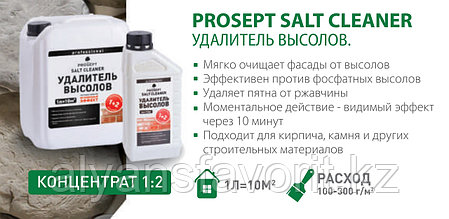 SALT CLEANER - удалитель высолов 5 литров -(концентрат). РФ, фото 2
