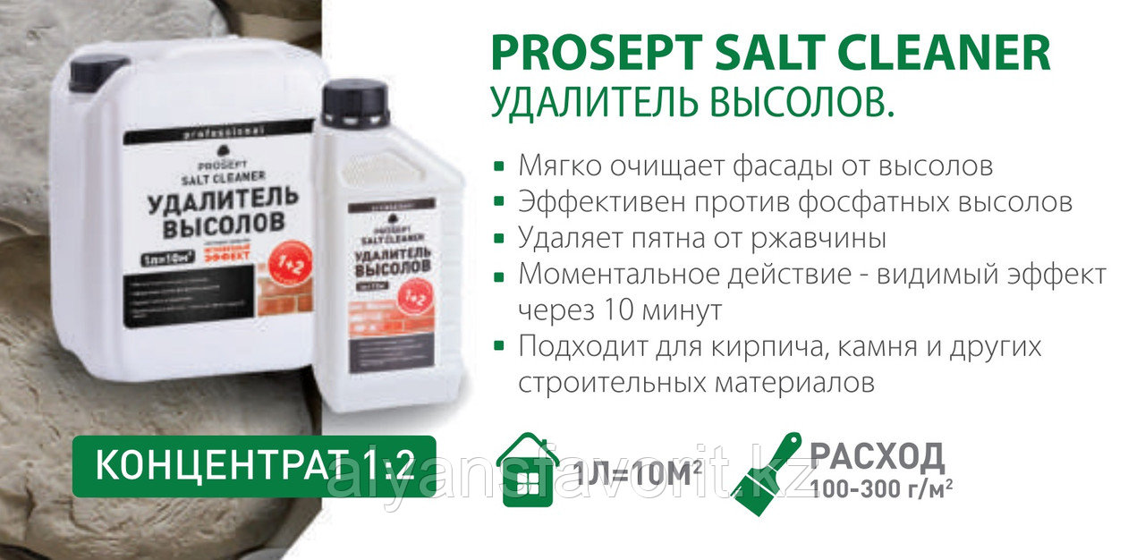 SALT CLEANER - удалитель высолов 5 литров -(концентрат). РФ - фото 2 - id-p67389740