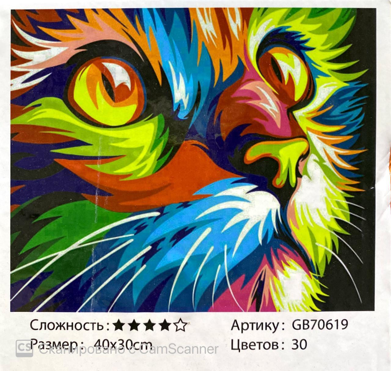 Алмазная мозаика на подрамнике круглые стразы 5D "Абстракция Кот" 40х30