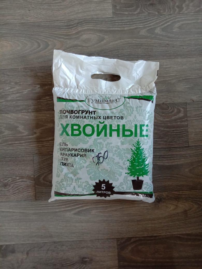 Почвогрунт