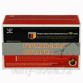 Тегіс кискалар