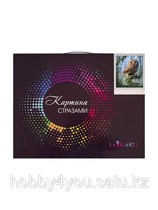 Картина круглыми стразами, 30*40см, фото 2