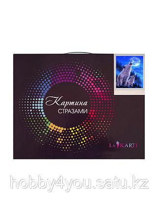 Картина круглыми стразами, 40*50см, фото 2