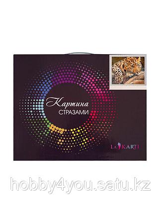 Картина круглыми стразами, 40*50см на деревянном подрамнике, фото 2