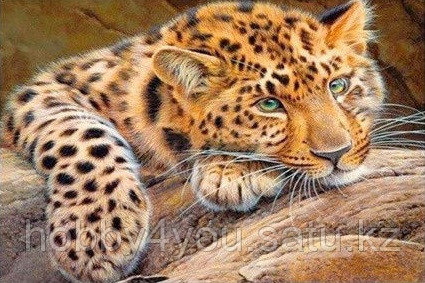 Картина круглыми стразами, 40*50см на деревянном подрамнике, фото 2