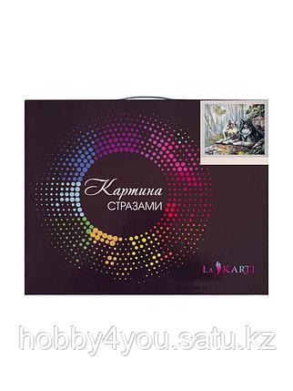 Картина круглыми стразами, 40*50см на деревянном подрамнике, фото 2