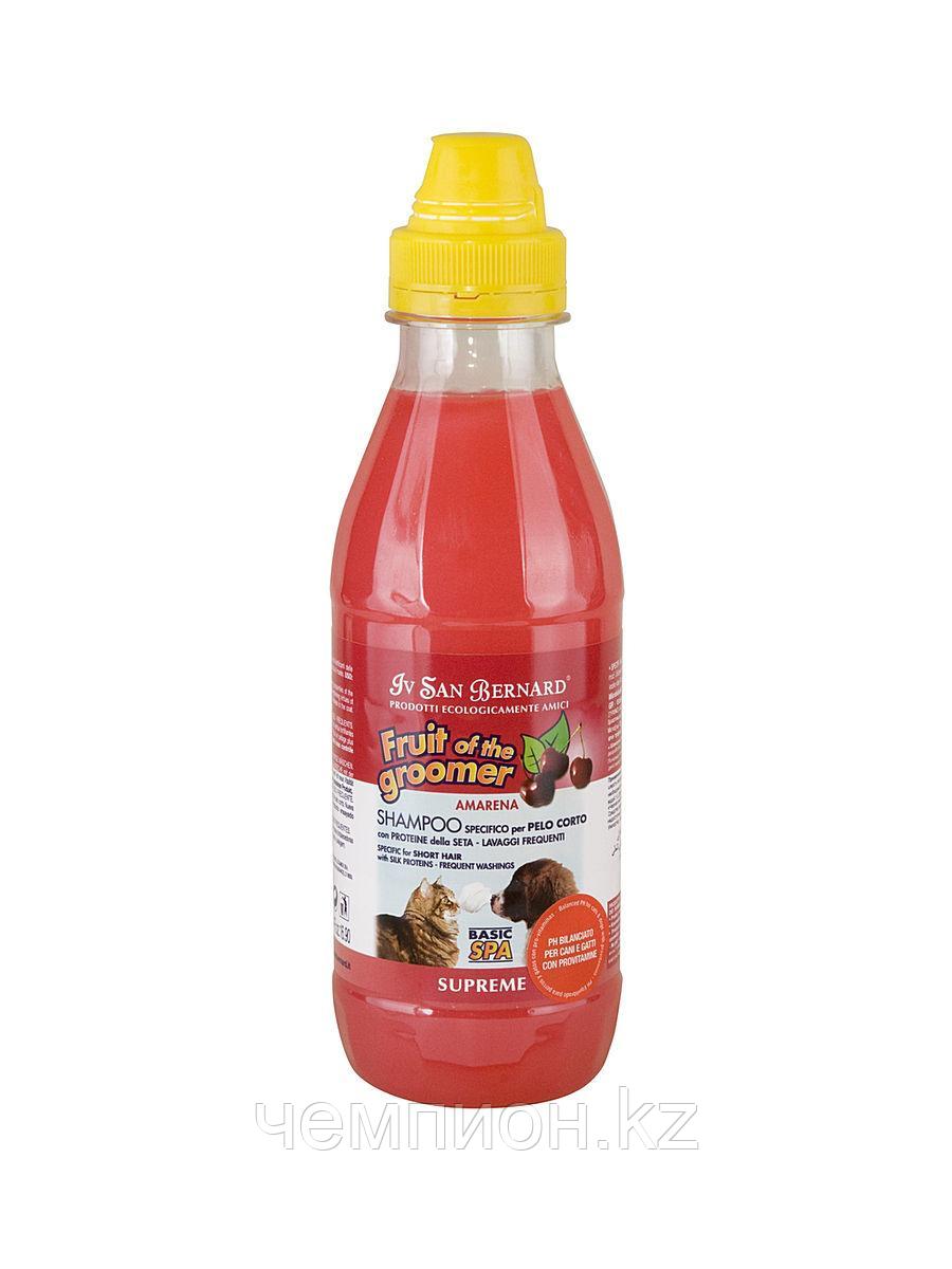 41425 Iv San Bernard Black Cherry Shampoo, Ив Сен Бернар Шампунь Чёрная Вишня для короткой шерсти, 1 л.