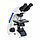 Микроскоп биологический Микромед 2 (вар. 2 LED М), фото 2