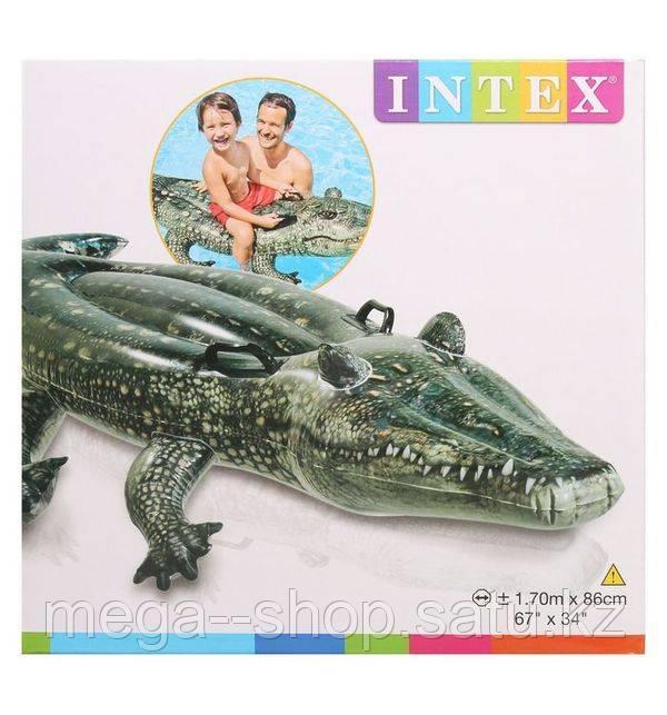 Надувной плотик INTEX с57551 Аллигатор 170х86 см