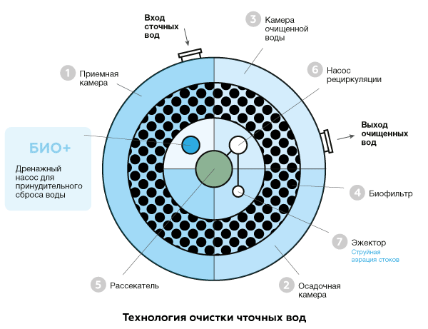 Евролос био 10+ - фото 3 - id-p78837642