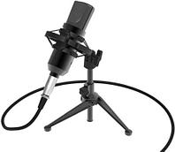 Микрофон студийный настольный конденсаторный RITMIX с USB-адаптером RDM-160