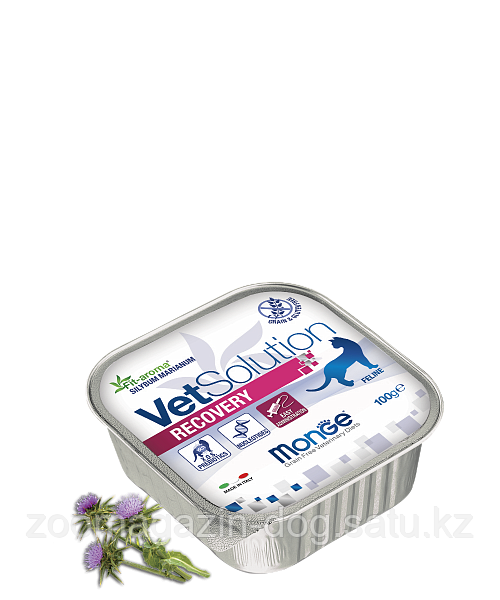 Monge Vetsolution RECOVERY паштет для кошек при восстановлении после операций,100гр