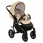 Коляска 2 в 1 TUTIS NANNI (Beuge-Dark Brown)