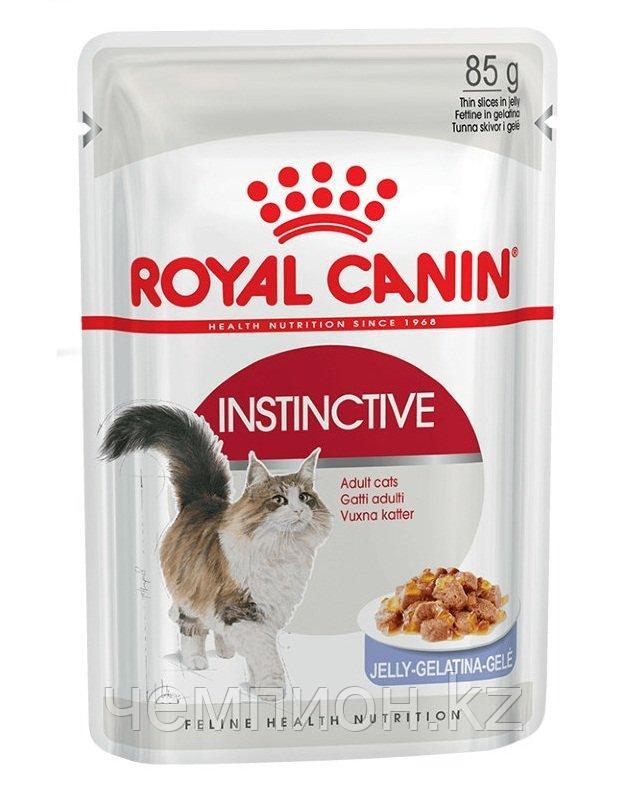 Royal Canin Instinctive in Jelly, Роял Канин кусочки в желе для кошек, профилактика МКБ,  уп.12*85 гр