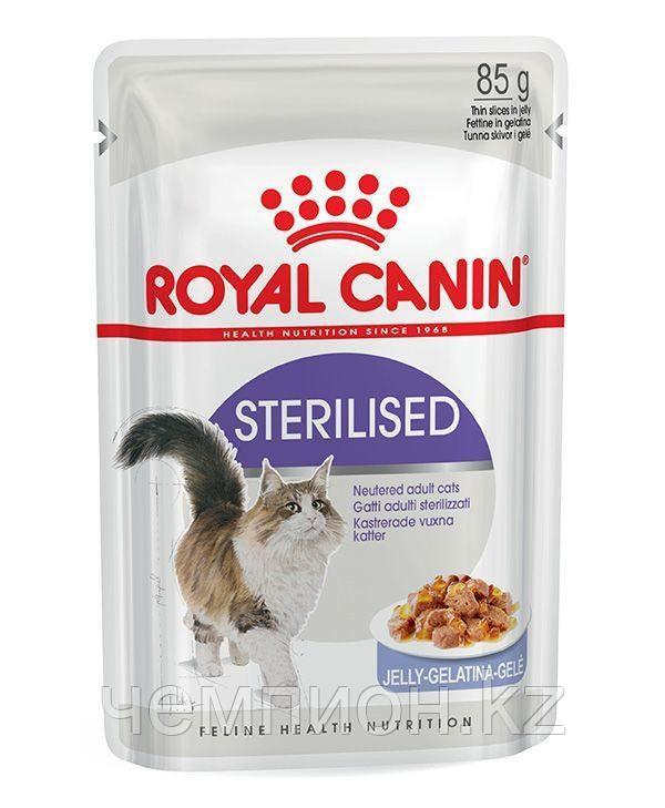 Royal Canin Sterilised in jelly, Роял Канина Стерилизид, корм для стерилизованных животных, уп.12*85гр.