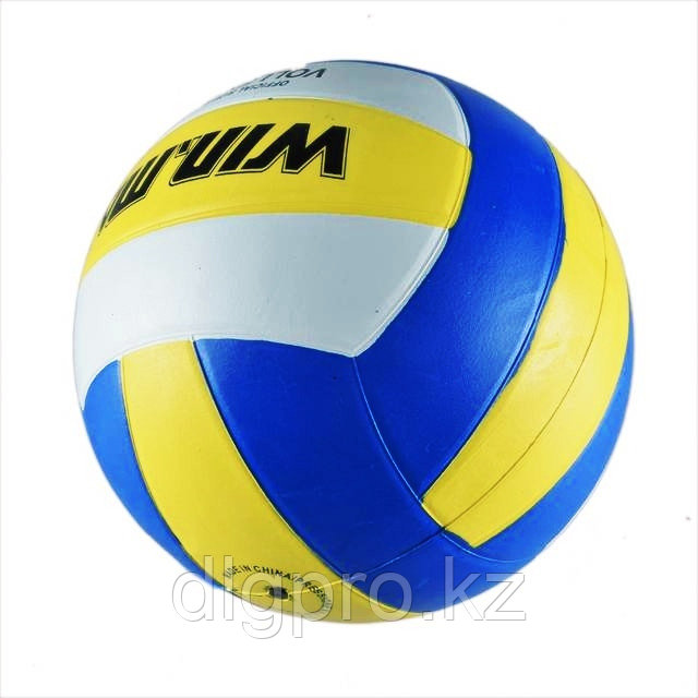 Мяч волейбольный WinMax - фото 4 - id-p79037466