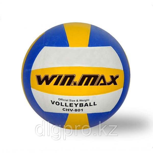 Мяч волейбольный WinMax - фото 3 - id-p79037466