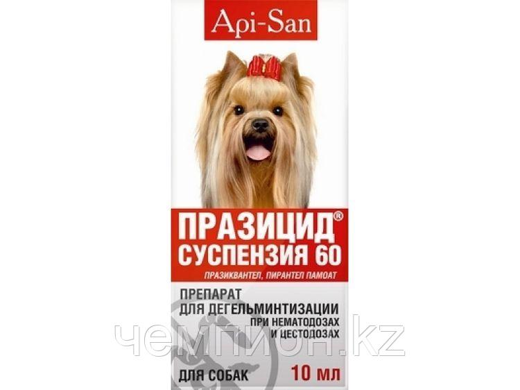 ПРАЗИЦИД сладкая суспензия для взрослых собак, фл.10 мл.