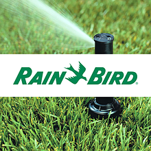 Rain Bird статикалық және айналмалы жаңбырлатқыштар