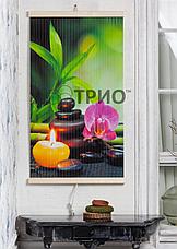 Настенный обогреватель ТРИО "Гармония", фото 3