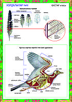 Caught and Fucked көріңіз
