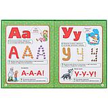 Книга «Азбука с крупными буквами для малышей» М.А.Жуковой, фото 2