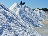 Соль техническая по Казахстану