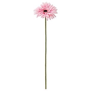 СМИККА Цветок искусственный, Гербера, розовый, 50 см, фото 2