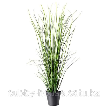 ФЕЙКА Искусственное растение в горшке, трава, 17 см, фото 2