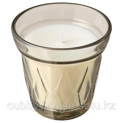 ВЭЛЬДОФТ Ароматическая свеча в стакане, бежевый ревень бузина, бежевый, 8 см, фото 2