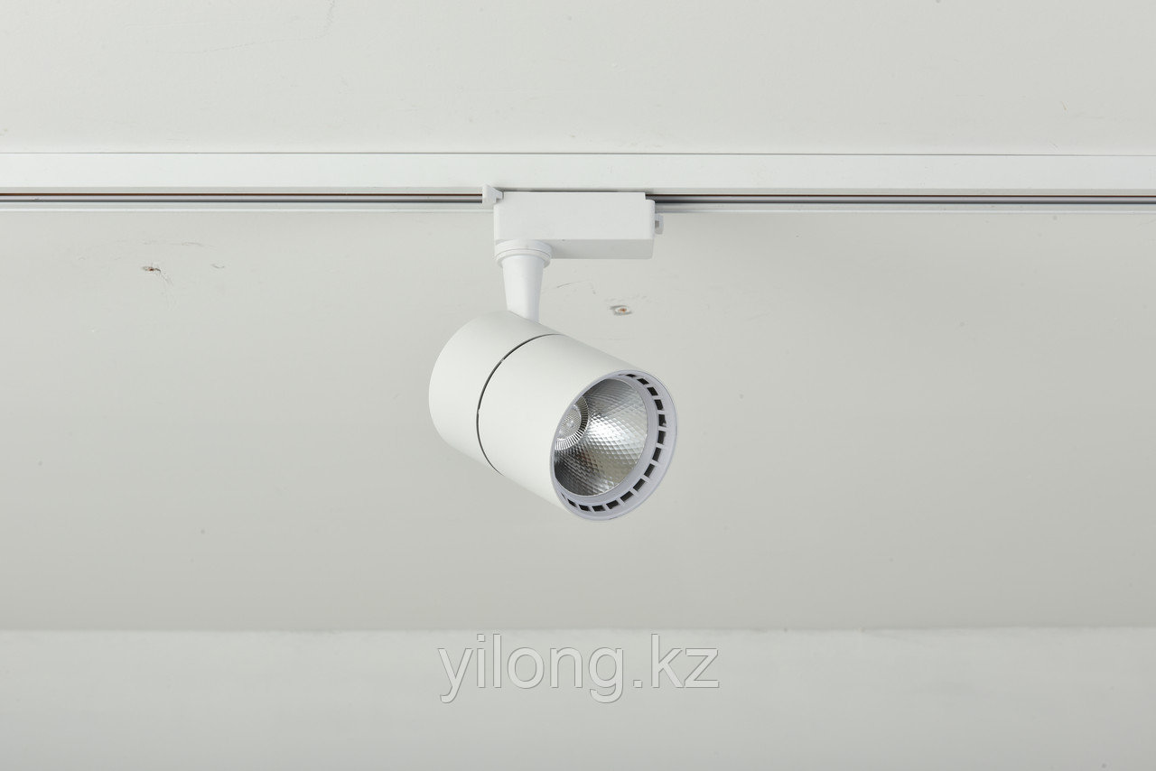D02 Светодиодный светильник LED белый 20W 80*H110