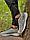 Кроссовки Adidas Yeezy 700 V3 suba 972-3 тем сер, фото 2