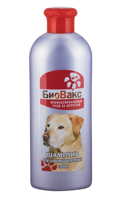 Шампунь БиоВакс для короткошерстных собак