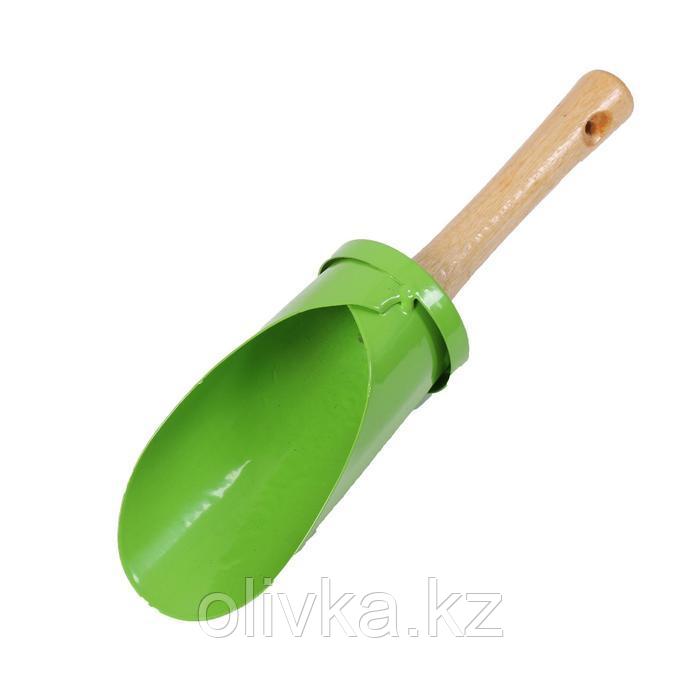 Сажалка для луковичных