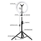 Кольцевая светодиодная лампа LED M33 (33 см), со штативом