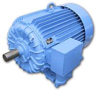 Электродвигатель АО3-355S8 132 кВт 750 об/мин