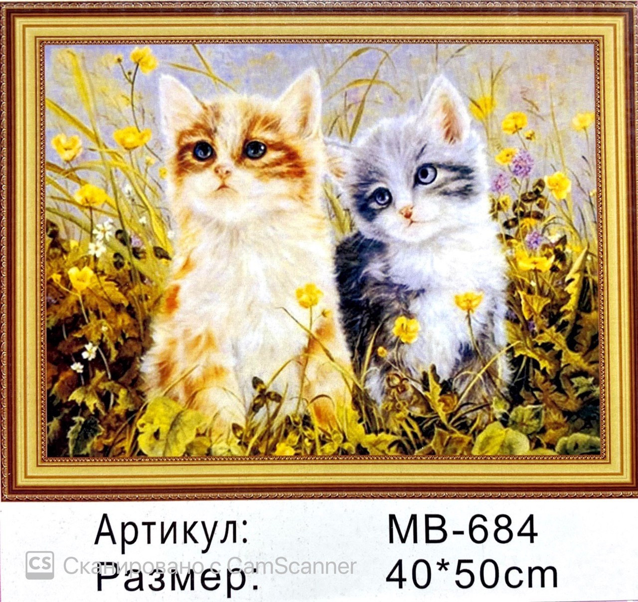 Алмазная мозаика на подрамнике круглые стразы 5D "Котята" 50х40