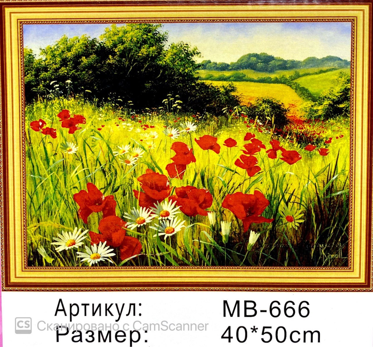 Алмазная мозаика на подрамнике круглые стразы 5D "Маковое поле" 50х40