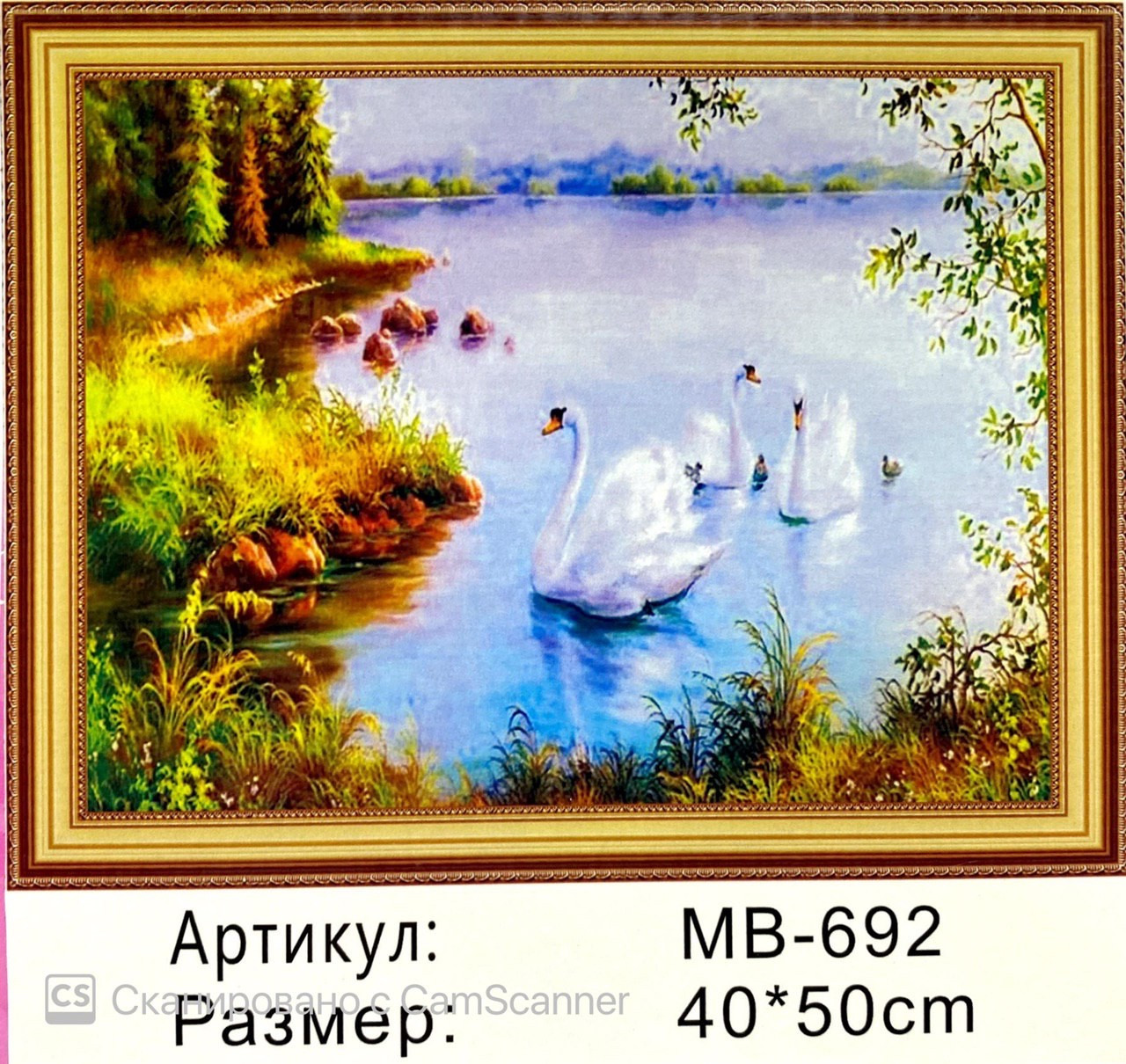 Алмазная мозаика на подрамнике круглые стразы 5D "Лебеди" 50х40
