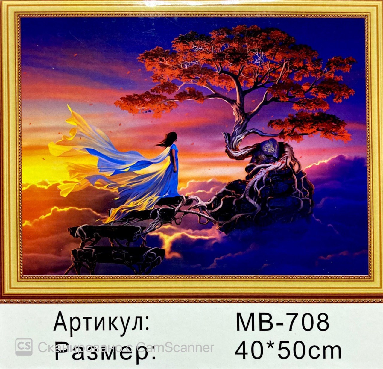 Алмазная мозаика на подрамнике круглые стразы 5D "Девушка на скале" 50х40