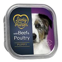 Влажный корм для щенков всех пород Lovely Hanter Puppy Beef&Poultry с говядиной и птицей 4771317454430 15*150 гр Влажный корм для щенков всех пород Lovely Hanter Puppy Beef&Poultry с говядиной и птицей